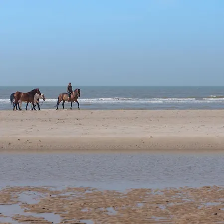 דירה Royal Golf Garden Ii With Balcony By Interhome *